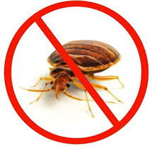 Bed Bugs Control