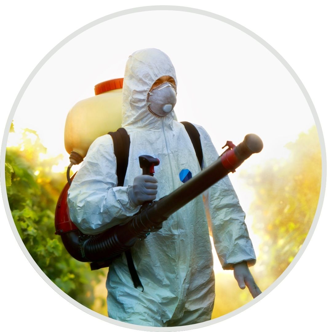 Pest Control Lucknow