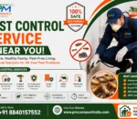 Best Pest Control Services Near Me