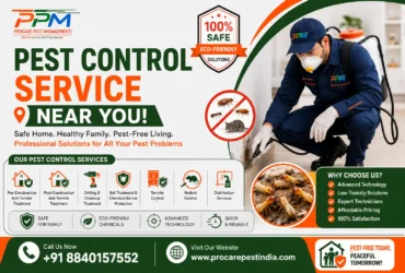 Best Pest Control Services Near Me