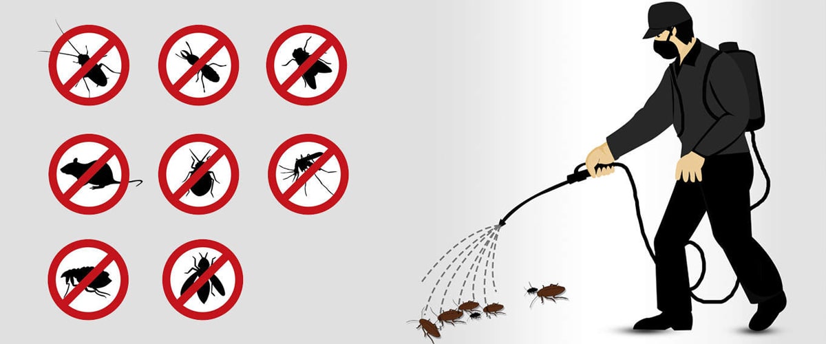 Why Procare Pest Management?