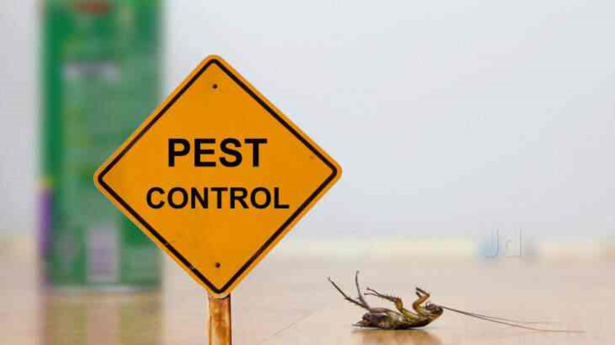 How to Make Your Home Pest-Free
