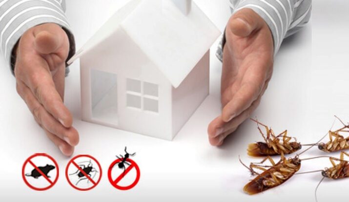 Pest Control Services in Alambagh, Lucknow