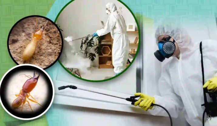 Pest Control Services in Vikas Nagar, Lucknow