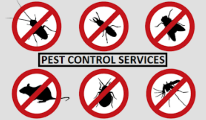 Pest Control Services in Sushant Golf City