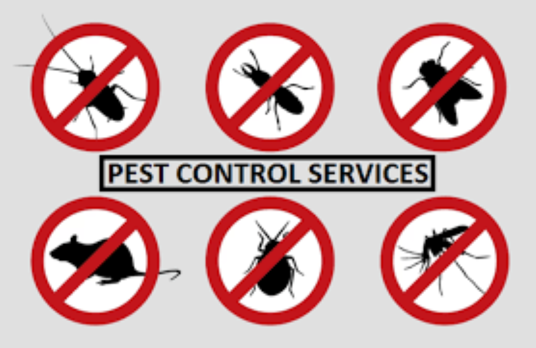 Pest Control Services in Sushant Golf City