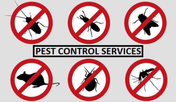 Best Pest Control Services in Hazratganj Lucknow