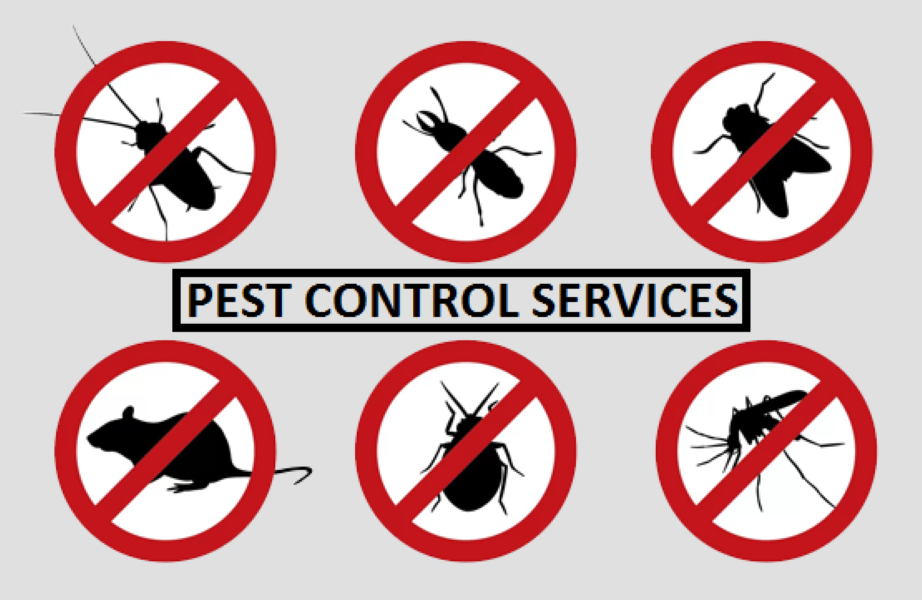 Best Pest Control Services in Hazratganj Lucknow