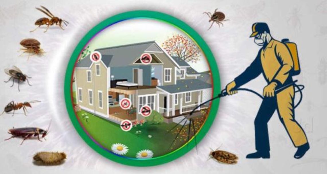 Types of Pest Control Services Available in Alambagh