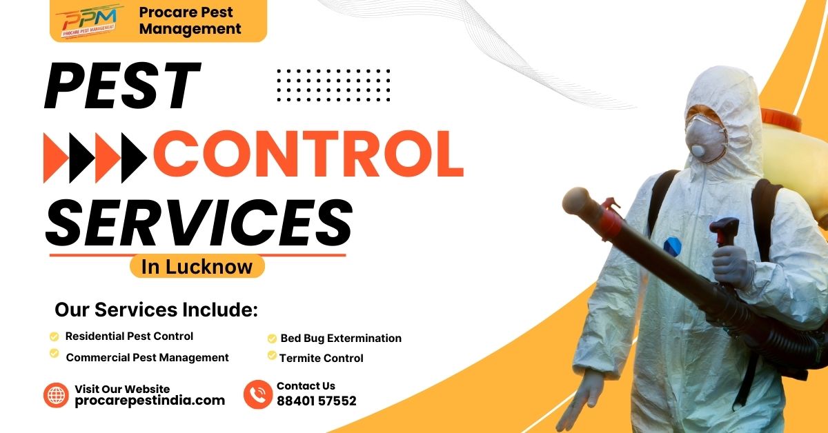 Termite Pest Control in Gomtinagar Lucknow