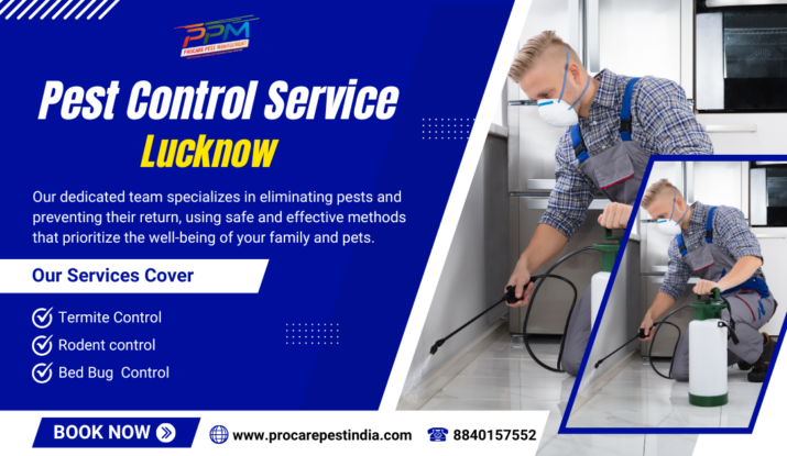 Best Pest Control in Lucknow