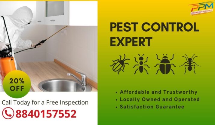 Termite Pest Control in Aminabad Lucknow