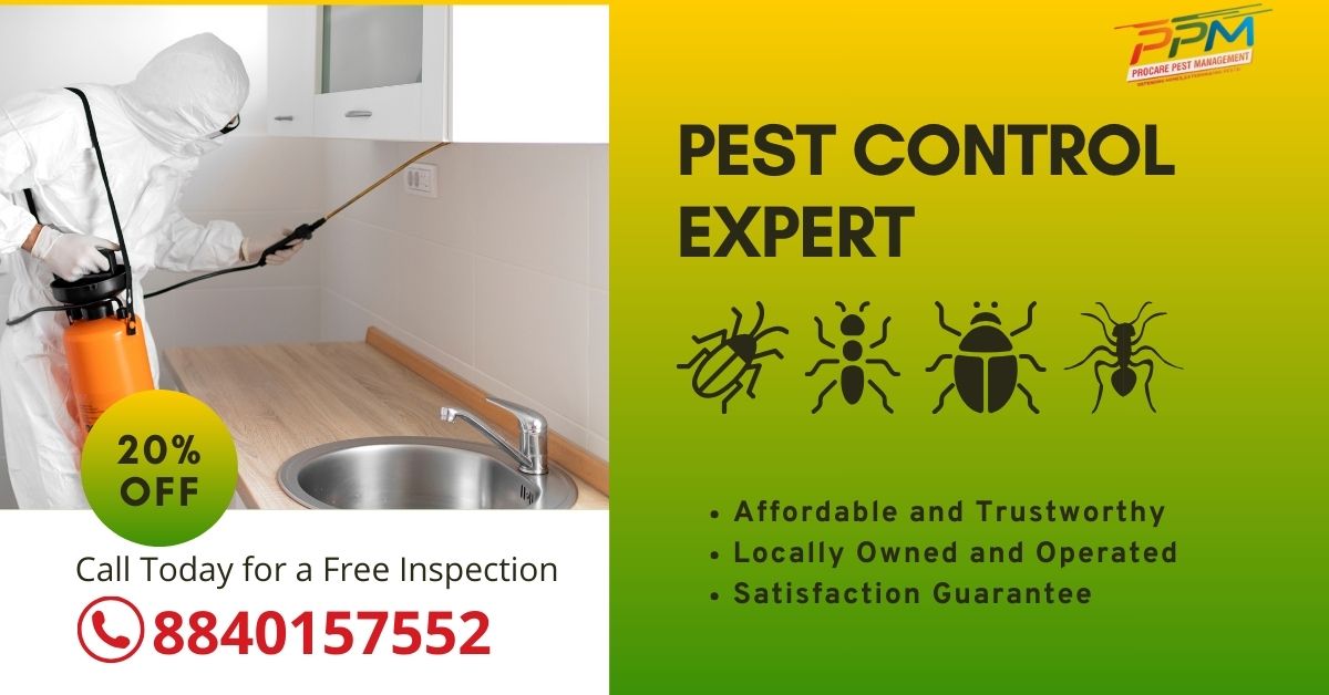 Termite Pest Control in Aminabad Lucknow