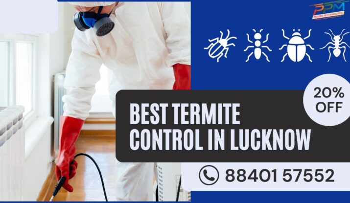 Best Termite Control in Nakhas Lucknow