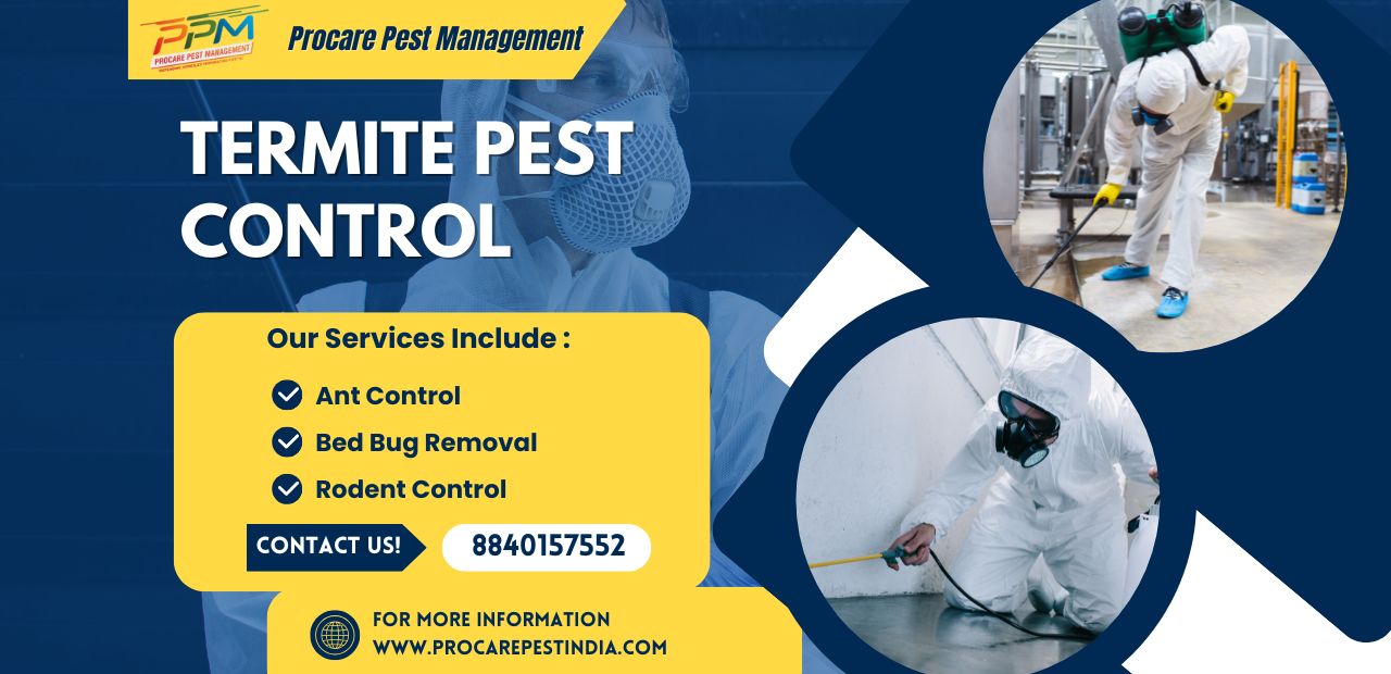 Best Termite Control in Alambagh Lucknow