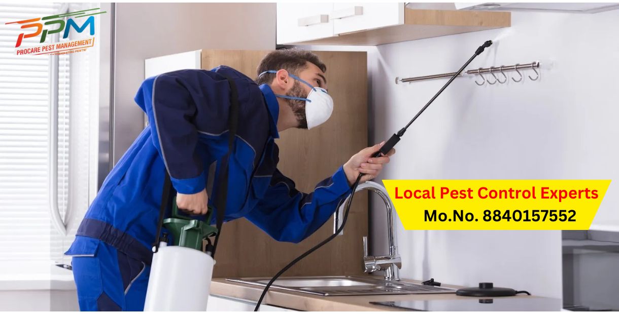 Local Pest Control Experts In Lucknow