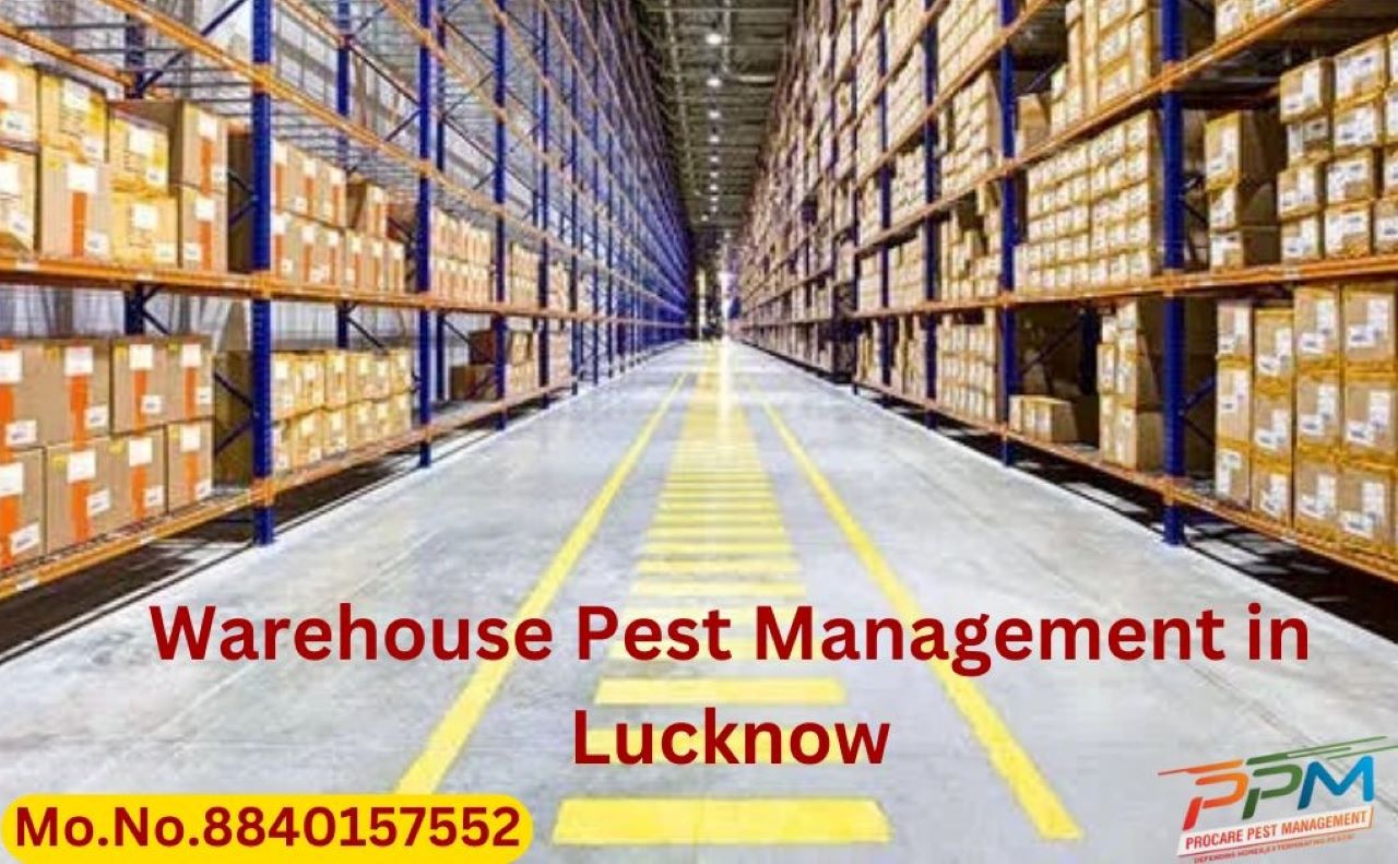 Warehouse Pest Management in Lucknow