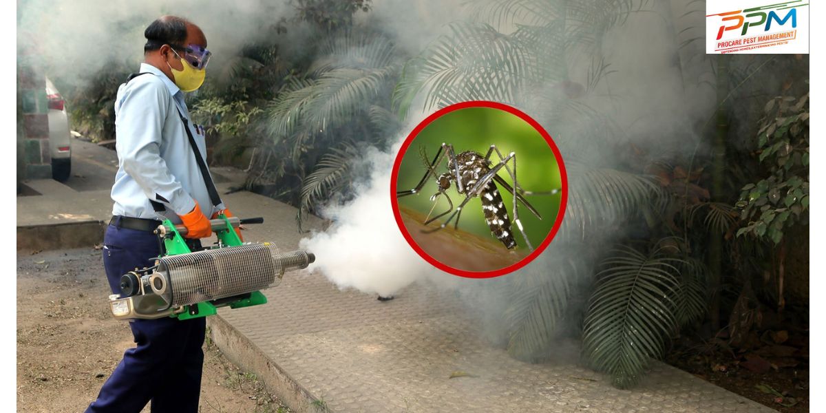 Best Mosquito Control Services in Lucknow