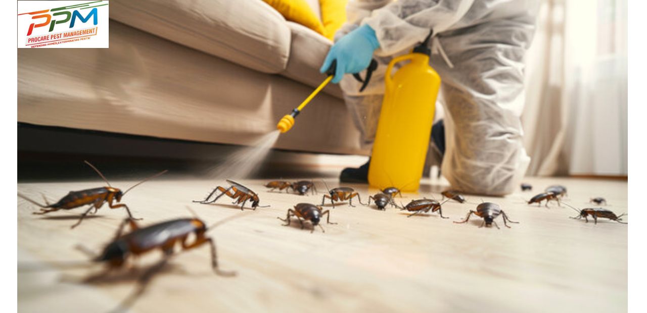 Cockroach Pest Control Services in Lucknow