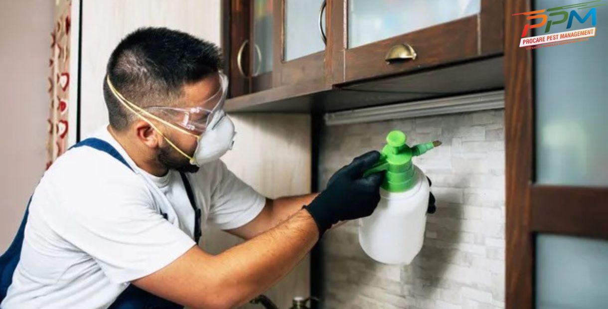 Affordable Pest Control In Lucknow