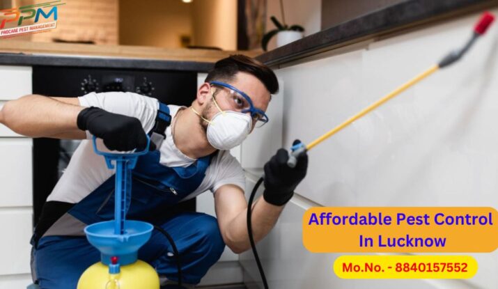 Affordable Pest Control In Lucknow
