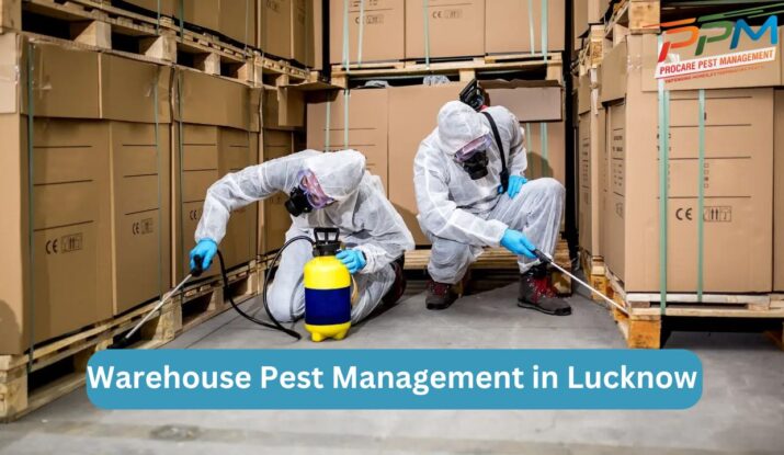 Warehouse Pest Management in Lucknow