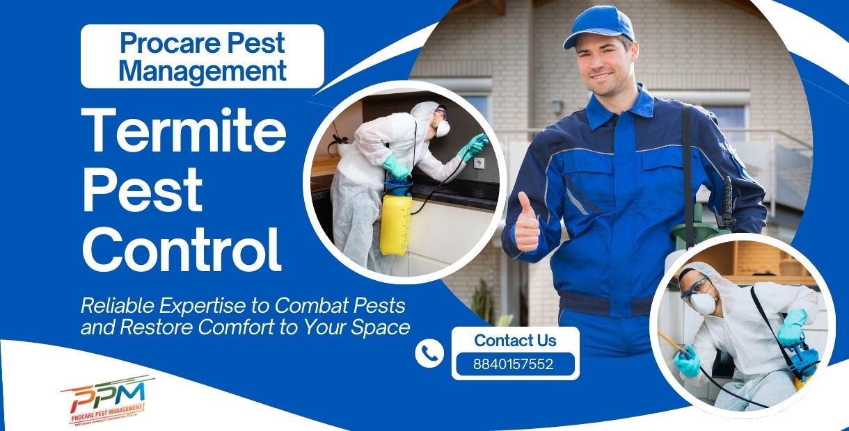 Best Termite Control in LDA Colony Lucknow