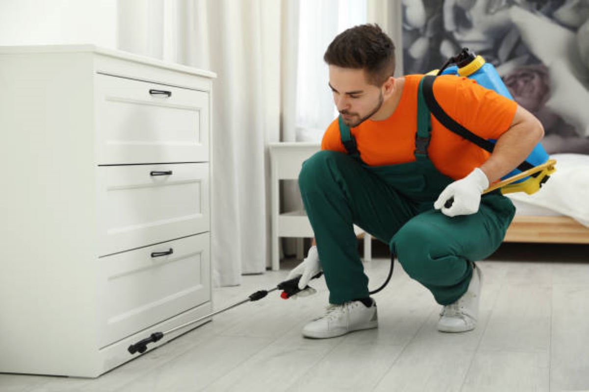 Our Pest Control Services in Nakhaas