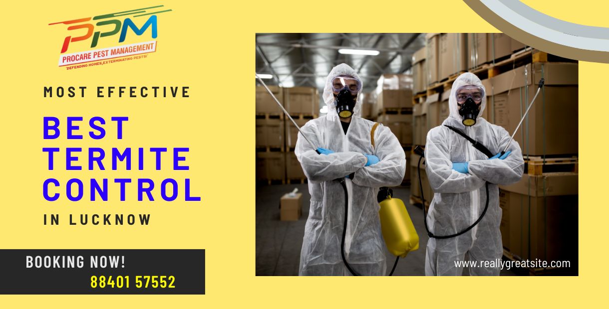 Best Termite Control in Nakhas Lucknow
