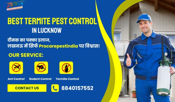 Best Termite Pest Control in Lucknow