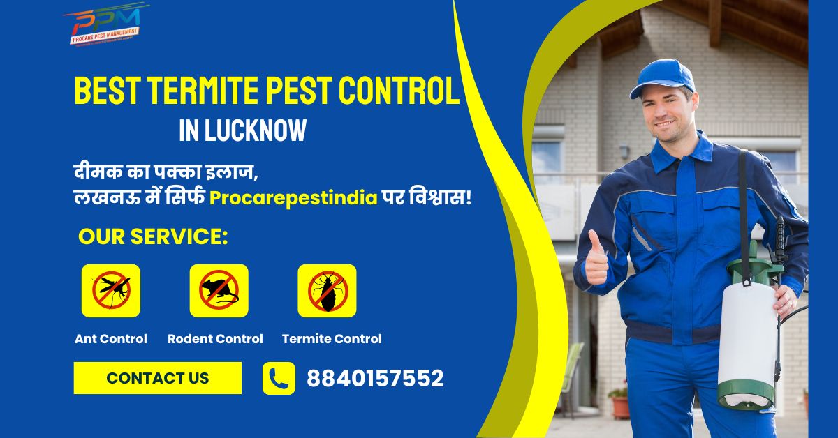 Best Termite Pest Control in Lucknow