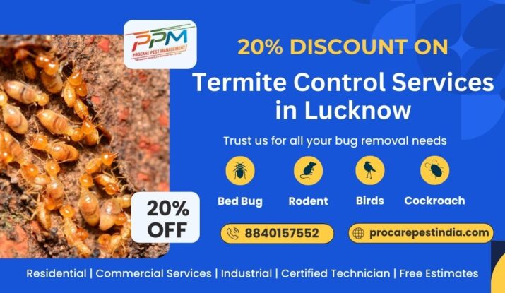 20% Discount on Termite Control Services in Lucknow