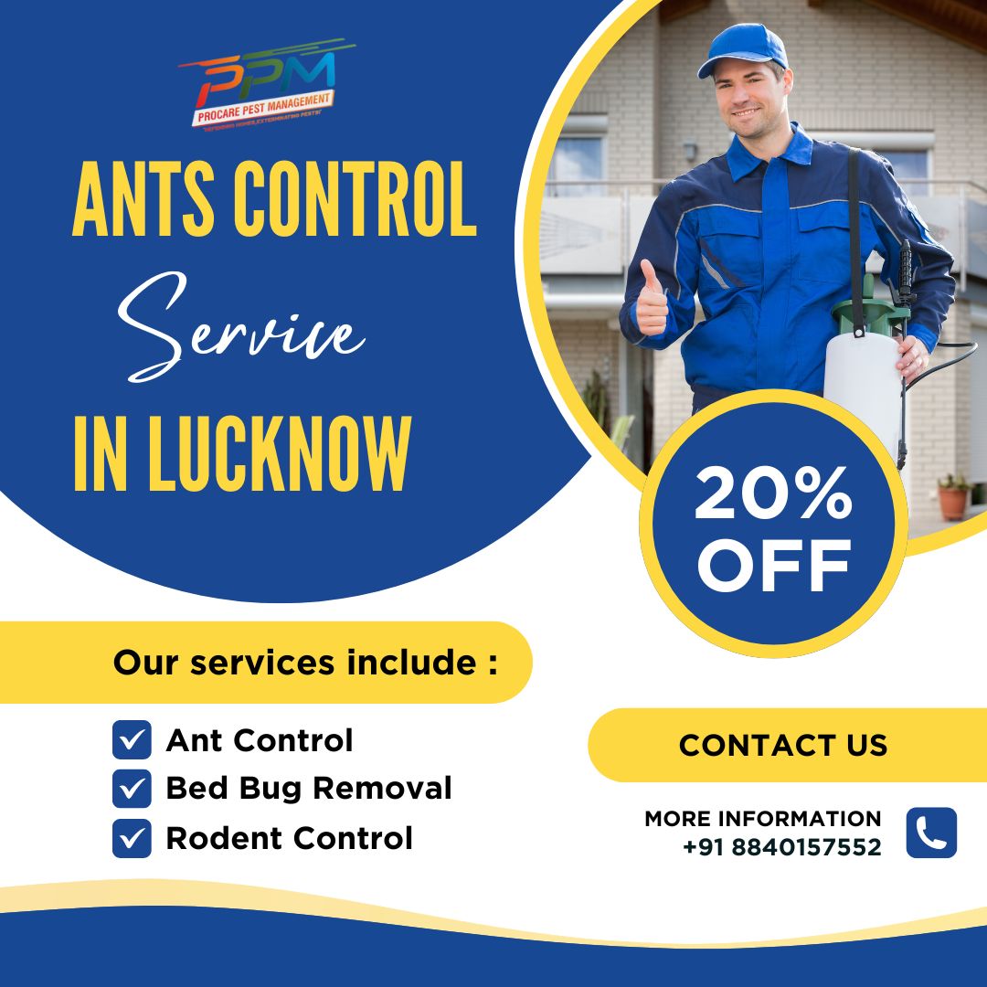 Best Ants Control Services in Lucknow