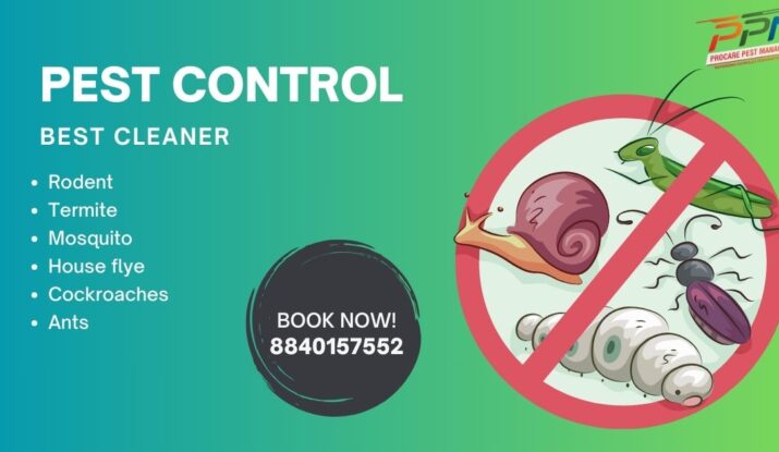 Residential Pest Control in Lucknow