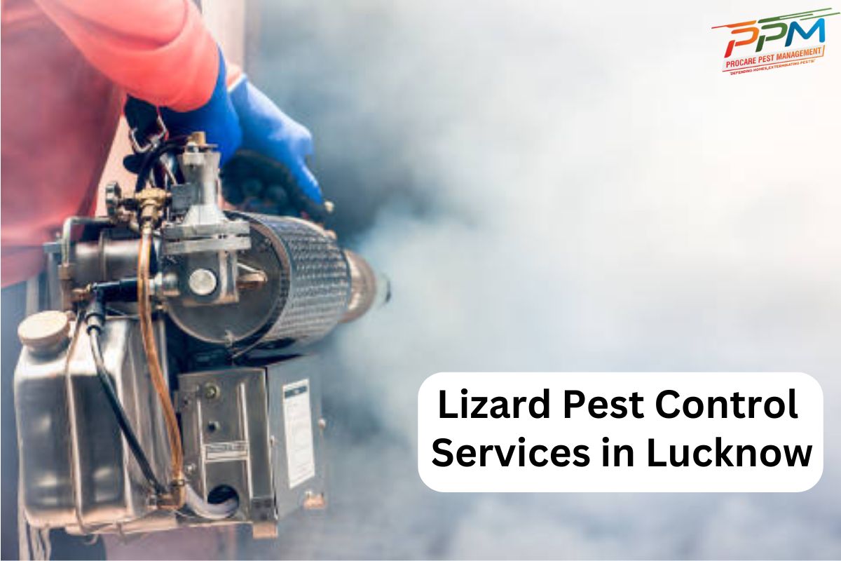 Lizard Pest Control Services in Lucknow