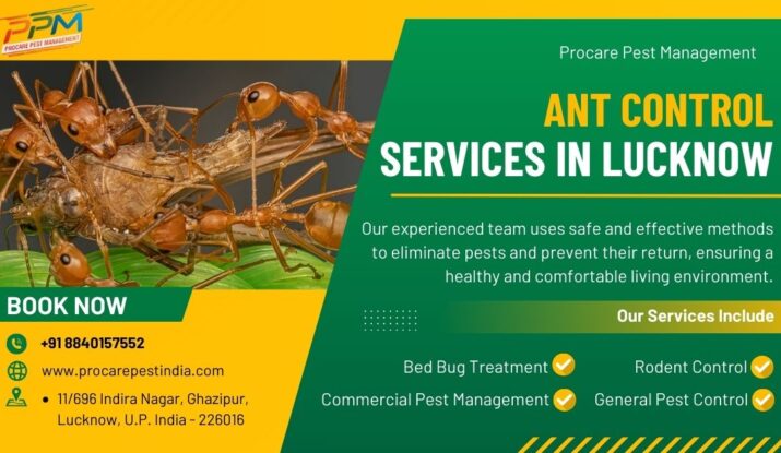 Ant Control Services in Lucknow