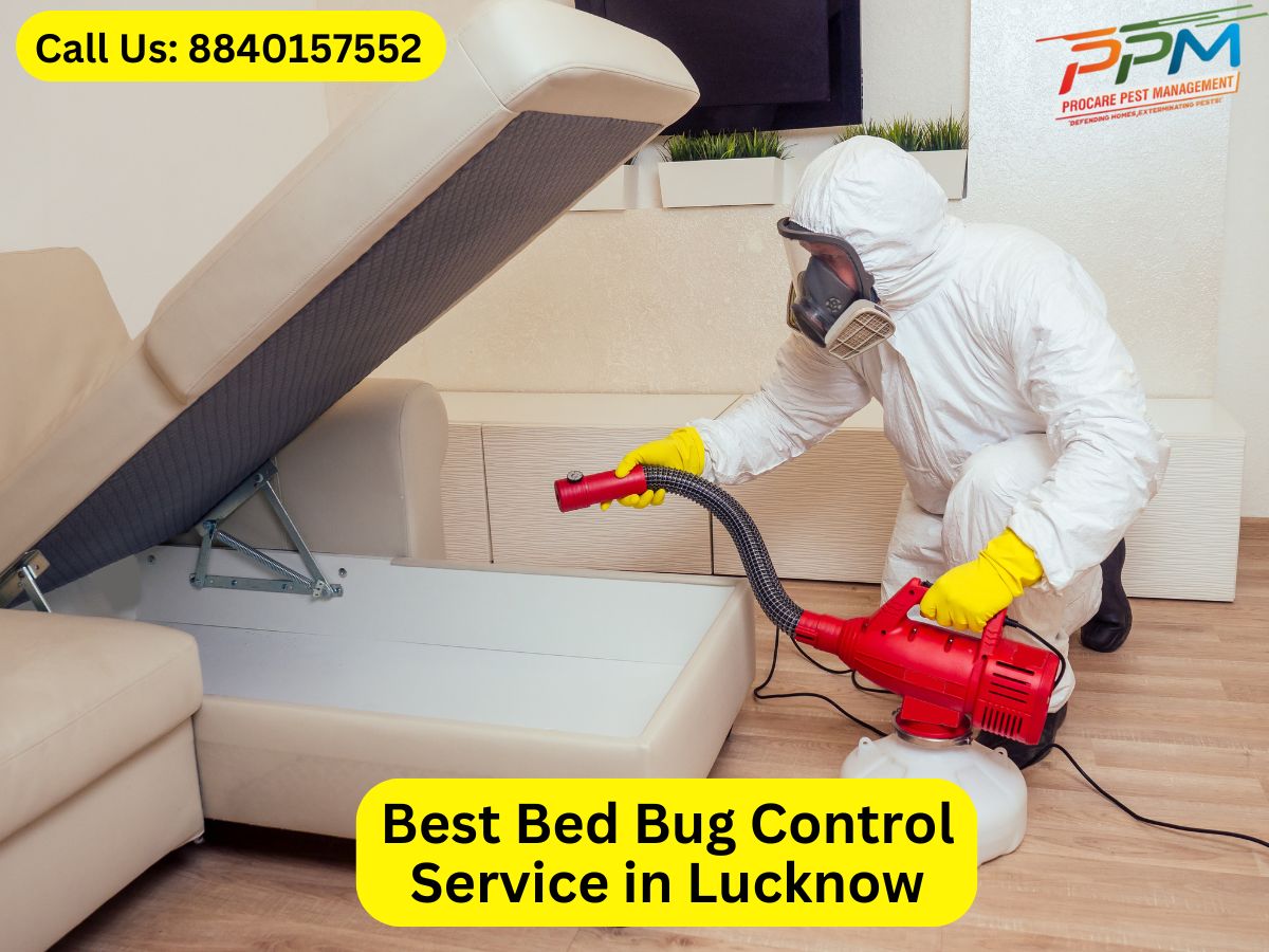 Best Bed Bug Control Service in Lucknow