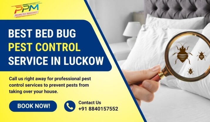 Best Bed Bug Control Service in Lucknow