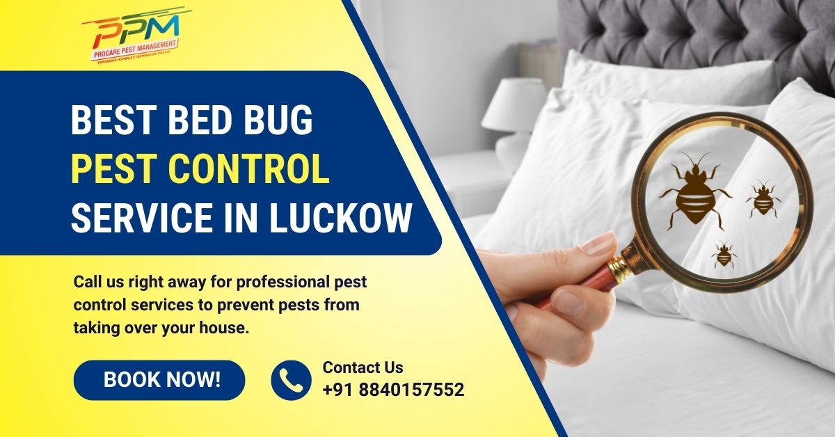 Best Bed Bug Control Service in Lucknow