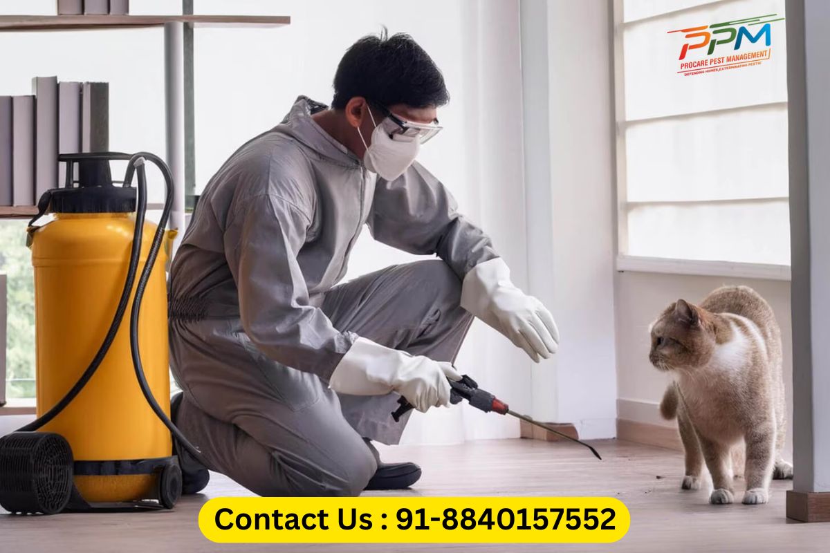 Experienced Pest Control Company in Lucknow