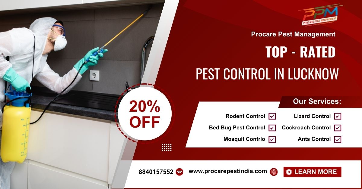 Top-Rated Pest Control in Lucknow