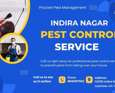 Pest Control Service Indira Nagar Lucknow