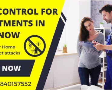 Pest Control for Apartments in Lucknow