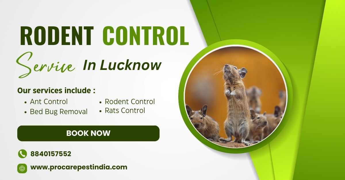 Rodent Control Service in Lucknow