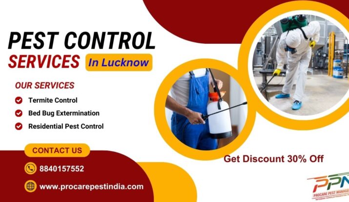 Pest Control Services in Lucknow