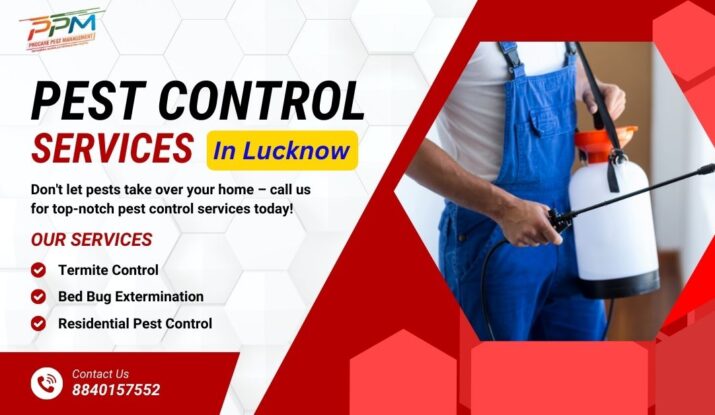 Pest Control Services In Lucknow