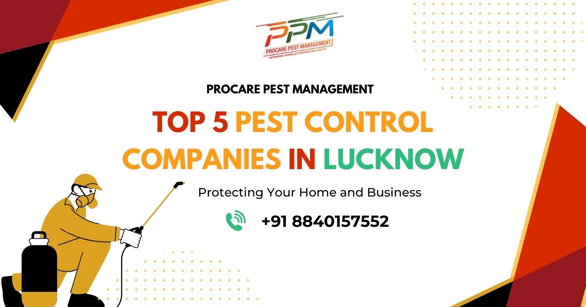 Top 5 Pest Control Companies in Lucknow