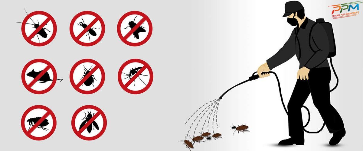 How Procare Pest Management Works