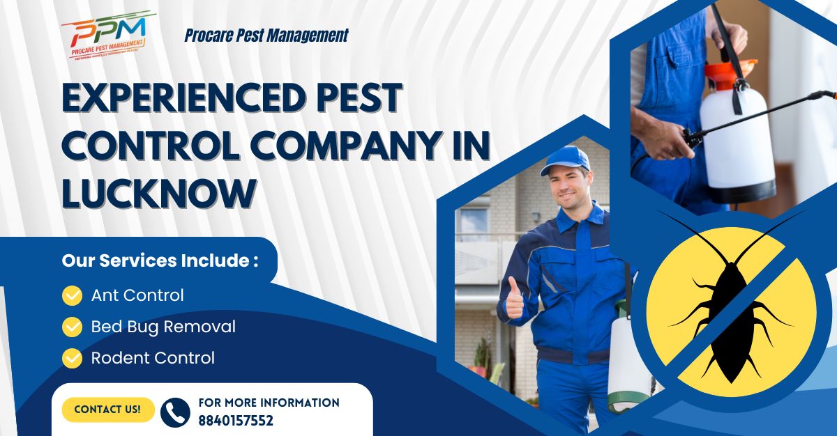 Experienced Pest Control Company in Lucknow