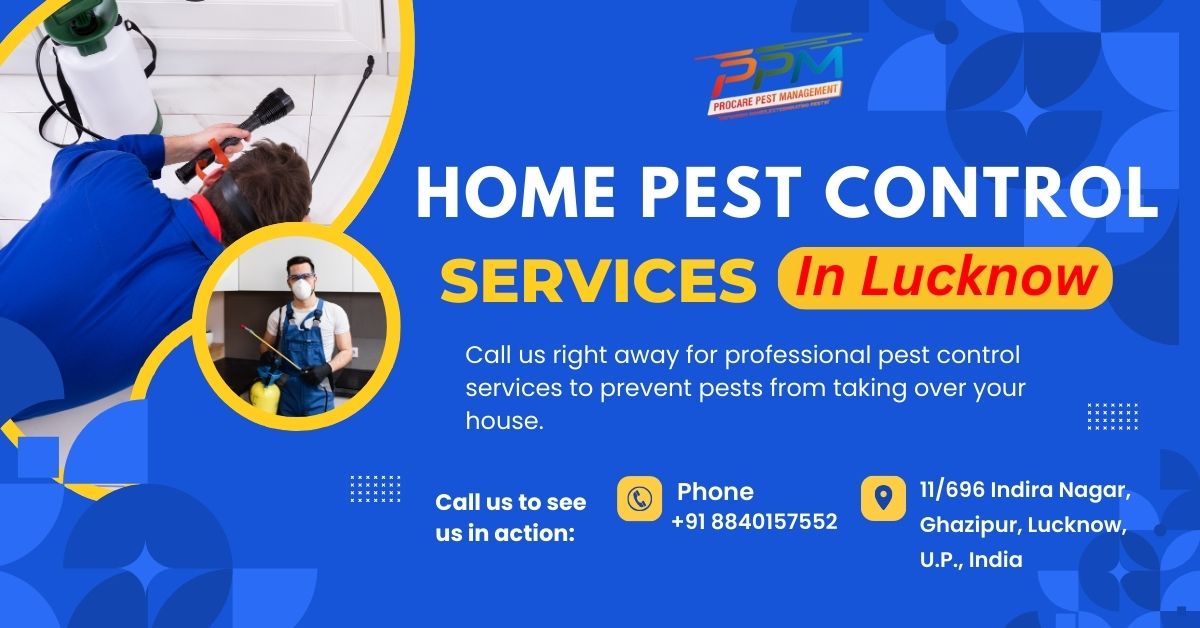 Home Pest Control Services in Lucknow